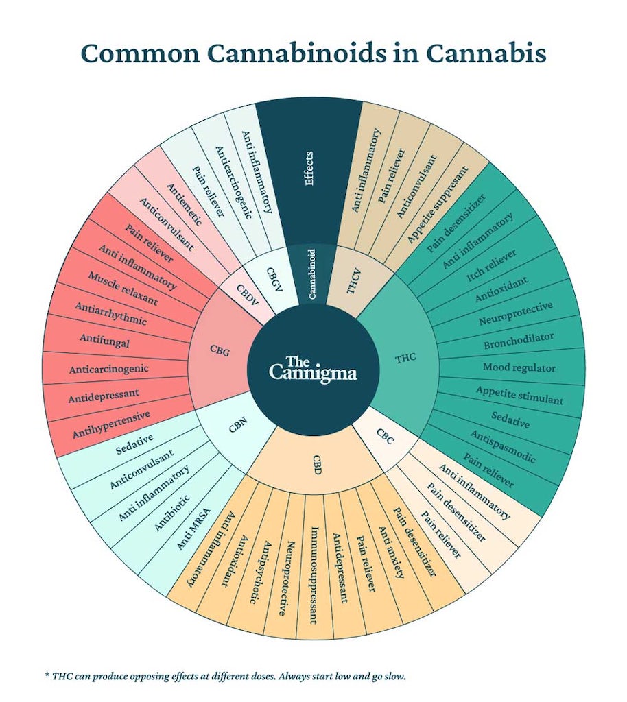 Common cannabinoids in cannabis