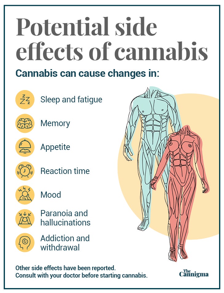  Cannabis side effects: fatigue, memory, appetite, reaction time, mood, paranoia, addiction