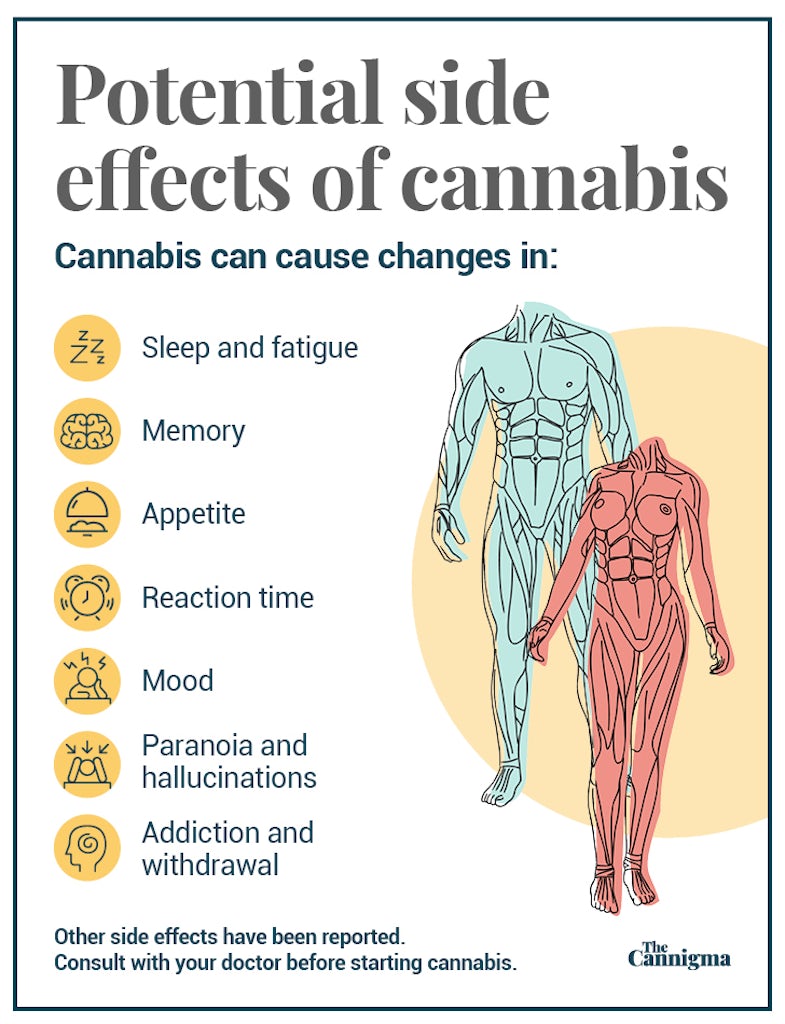 Cannabis Side Effects