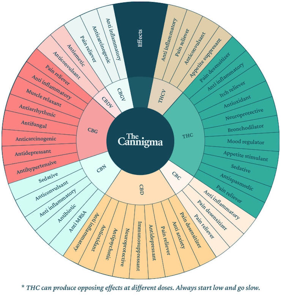 Common cannabinoids in cannabis