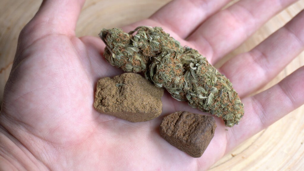 cannabis flower and hashish